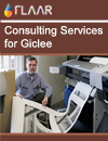 consulting services for giclee
